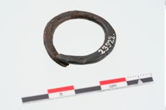 Foto von Eisenring (NHMW-PRAE-023922)